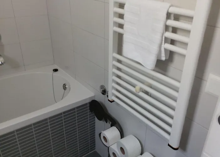 Nizic Apartman *