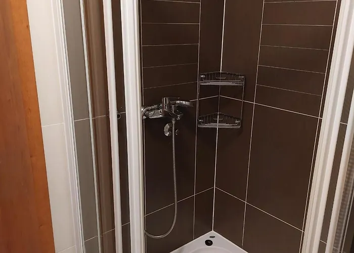 Nizic Apartman *