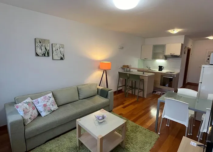 Nizic Apartman *